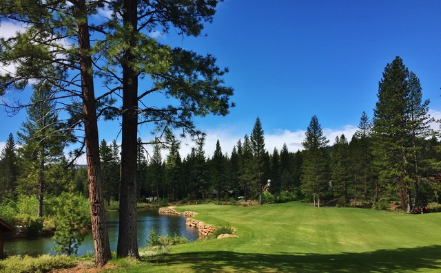 Top 10 Public Northern California Courses You Can Play Golf Advisor