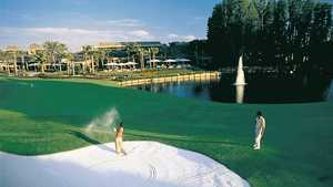 Saddlebrook Golf & Tennis Resort