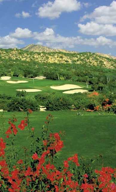 Cabo Real Golf Club in Los Cabos, Baja California, Mexico | Golf Advisor