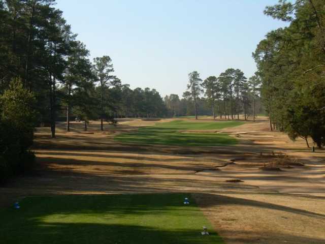 A view from a tee at Palmetto Golf Club.
