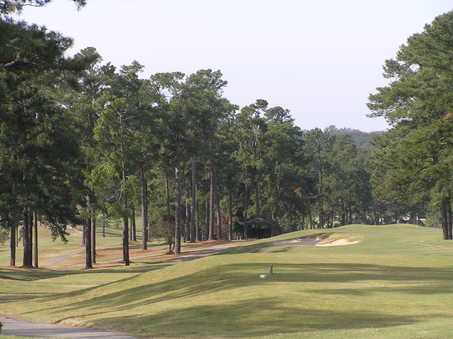 Forest Hills Golf Club in Augusta, Georgia, USA | Golf Advisor