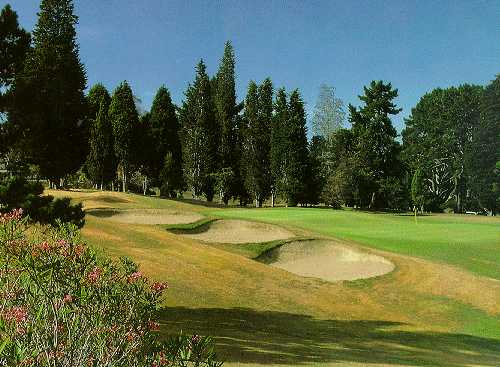 New Zealand Golf Club | Golf Course in ADDLESTONE | Golf Course ...