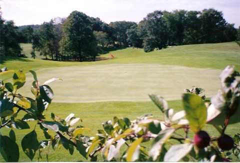 maple hill golf