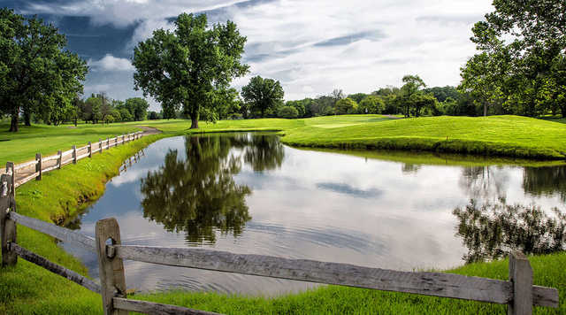 Cog golf course stock options