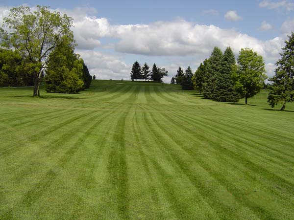 black singles in black hawk county Black hawk county, ia has a population of 132,821 people with a median age of 348 and a median household income of $50,348 between 2015 and 2016 the population of black hawk county, ia grew from 132,496 to 132,821, a 025% increase and its median household income grew from $48,369 to $50,348, a 409% increase. black singles in black hawk county Black hawk county, ia has a population of 132,821 people with a median age of 348 and a median household income of $50,348 between 2015 and 2016 the population of black hawk county, ia grew from 132,496 to 132,821, a 025% increase and its median household income grew from $48,369 to $50,348, a 409% increase.