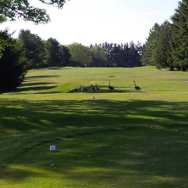 Ingersoll Golf and Country Club in Ingersoll, Ontario, Canada Golf