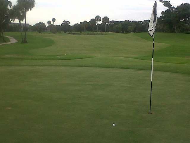Cypress at Palm Aire Country Club in Pompano Beach Florida USA Golf Cypress at Palm Aire Country Club in Pompano Beach Florida USA Golf