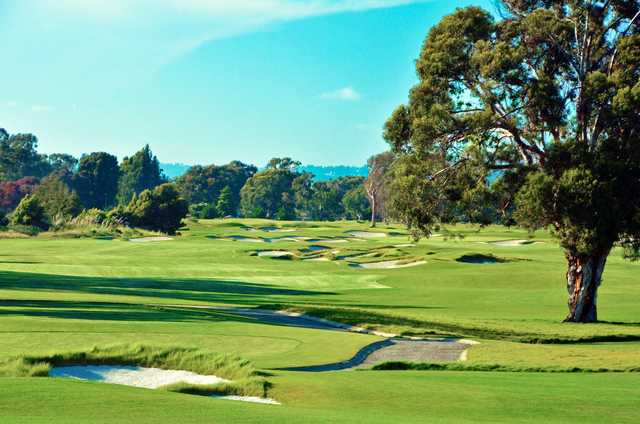 Corica Park The Jack Clark South Course in Alameda California USA Corica Park The Jack Clark South Course in Alameda California USA