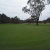 A view of a green at Royal Park Golf Club